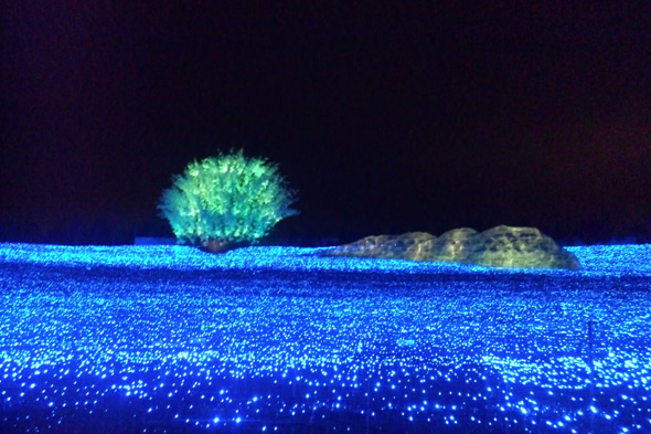 日本の四季・夏　ウィンターイルミネーション