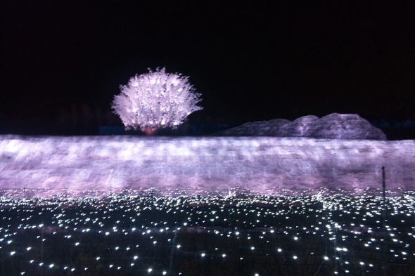 日本の四季・冬　なばなの里旅行記